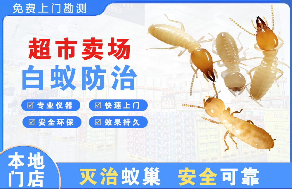 泰州超市卖场白蚁防治