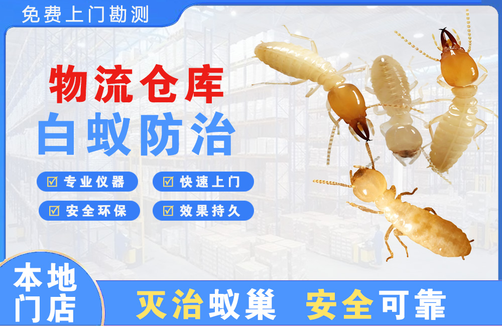 泰州物流仓库白蚁防治