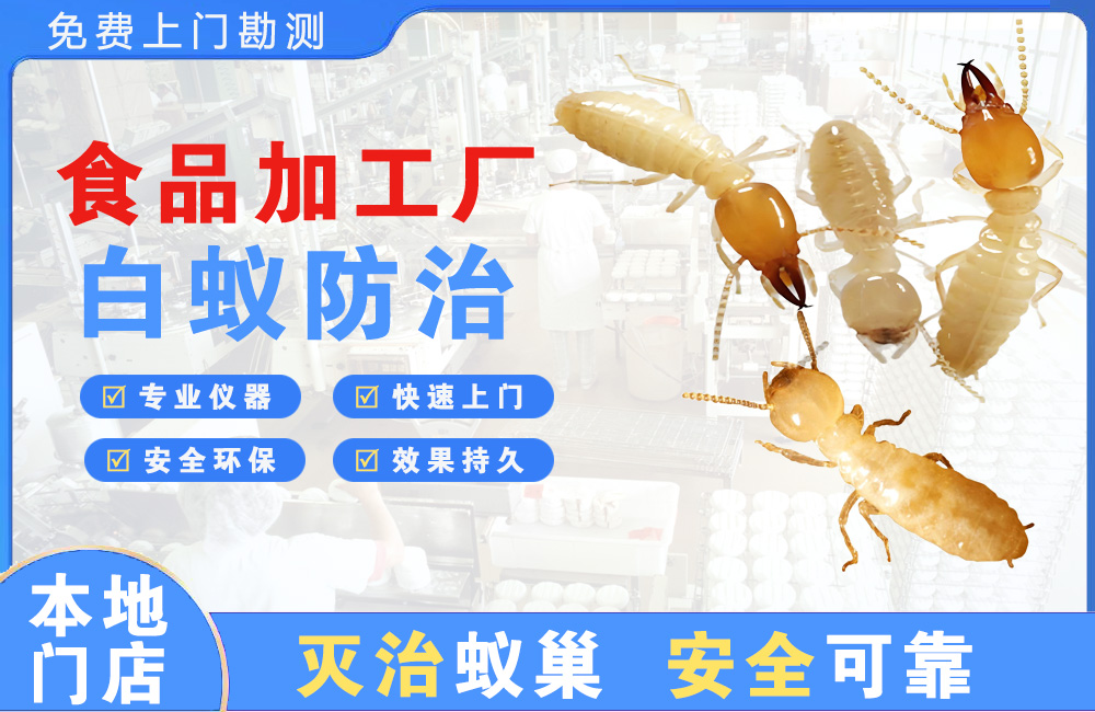 泰州食品加工厂白蚁防治