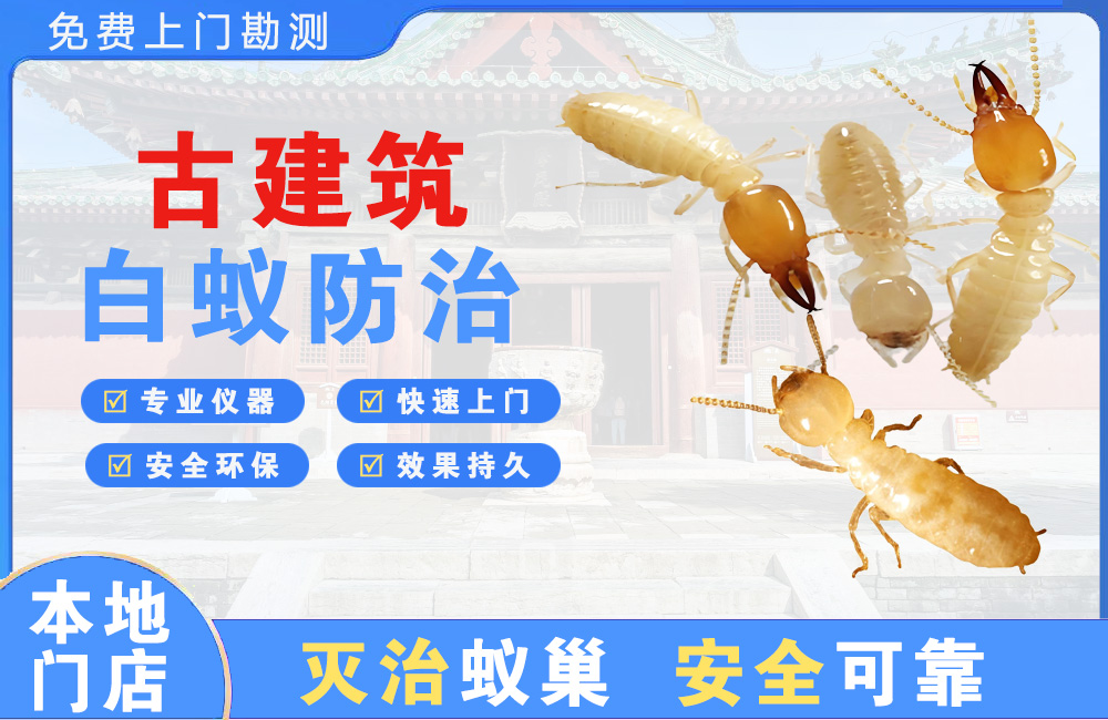 泰州古建筑白蚁防治