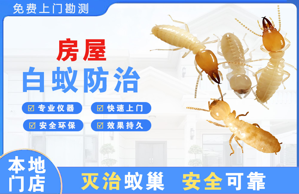 泰州房屋白蚁防治