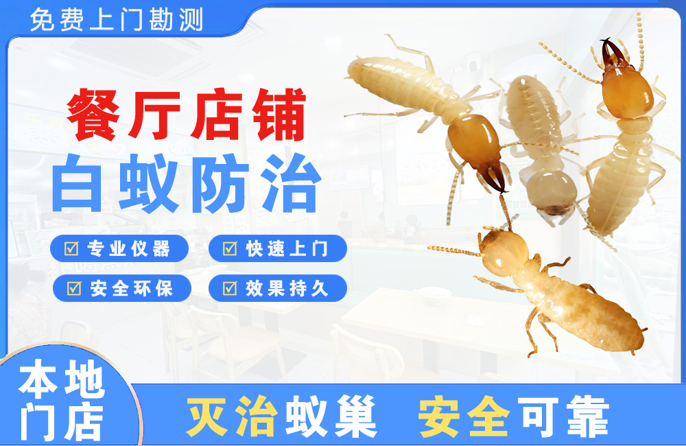 泰州餐厅店铺白蚁防治